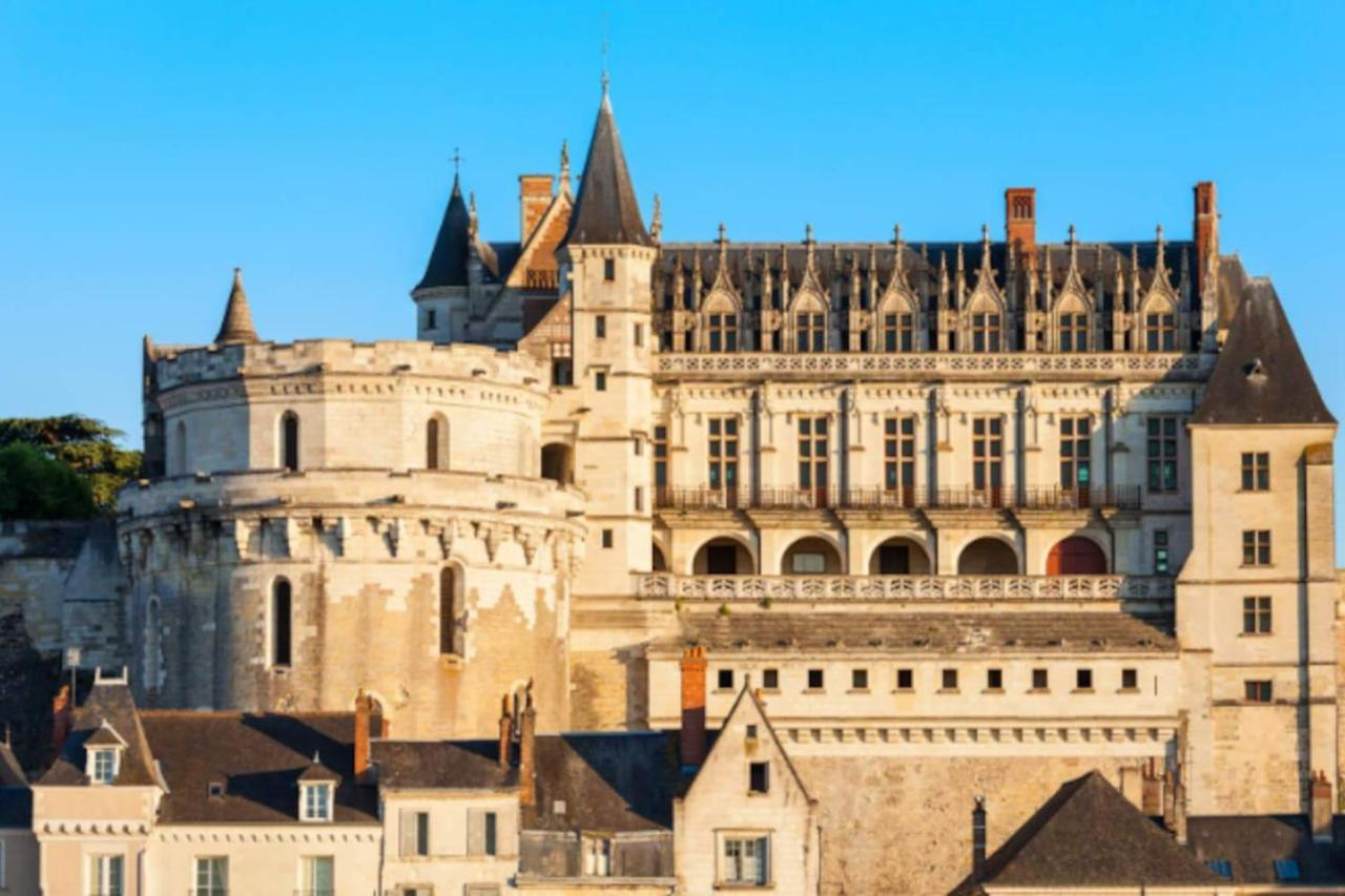 Da Vinci - Charmant Et Relax Amboise Exteriör bild